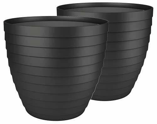 31XHeXJU82S.jpg