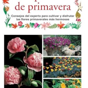 Las plantas primavera: Consejos experto cultivar disfrutar