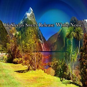 16 Sleeps Sweet Release White Noise
